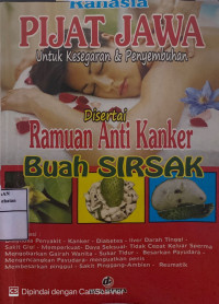 Image of Rahasia PIJAT JAWA untuk kesegaran & Penyembuhan